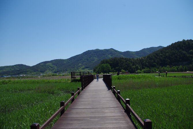 3-Day Korea Western course by K-shuttle Tour from Seoul to Busan - Day 2 May 18th National Cemetery: history you do not rush