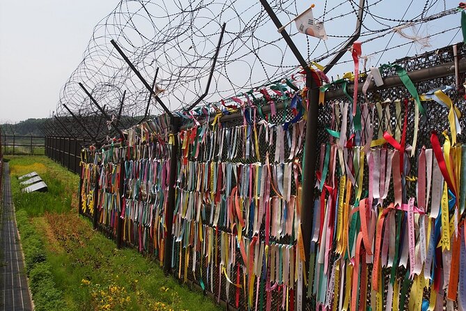 365-day DMZ Special Tour including Monday & Public Holiday - Backup plans when the DMZ changes the rules