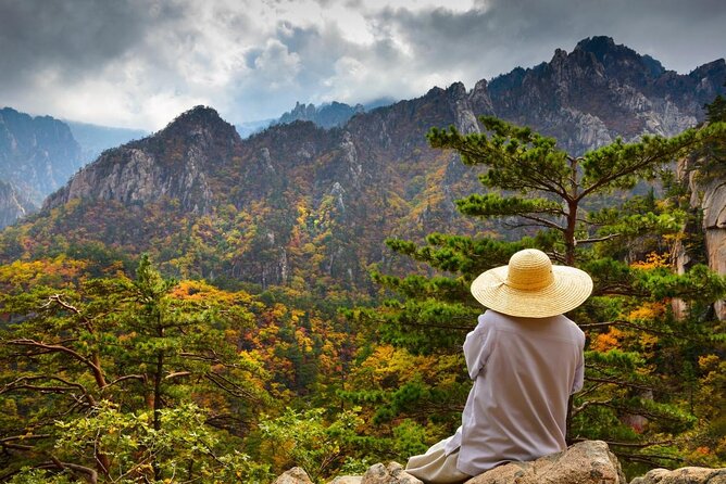 5-Day Korea Golden route by K-shuttle Tour from Seoul Including Busan, Yeosu - Key things that make this tour work
