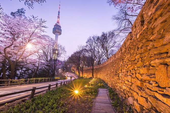 Afternoon Seoul: Hanok Vibes, Netflix Street Food & N Seoul Tower - What about the Netflix part: street food, shopping, and where extras pop up