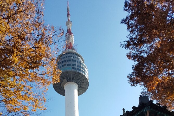 Afternoon Seoul: Hanok Vibes, Netflix Street Food & N Seoul Tower - Price and value: why $66.67 can make sense