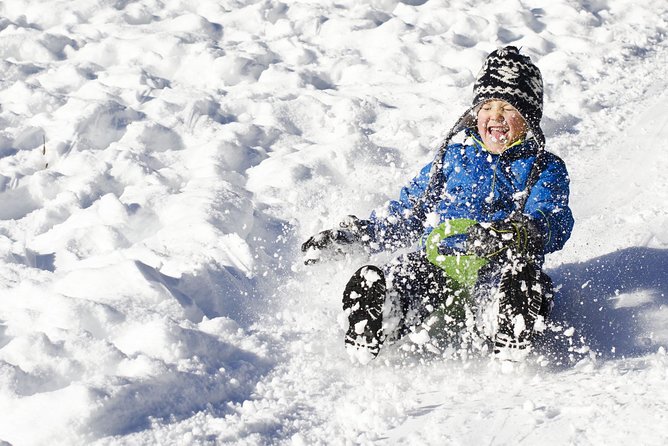 All Day Private Make your own plan tour to Nami Island and others - Gapyeong Sledding Hills: winter fun with real motion
