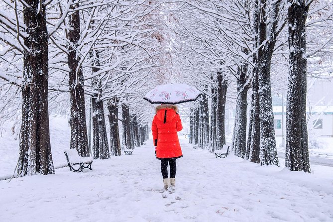All Day Private Make your own plan tour to Nami Island and others - The Garden of Morning Calm: where winter scenes and light can steal the show