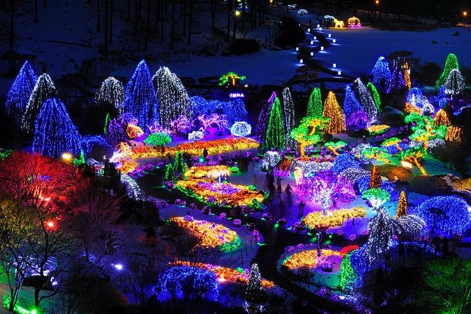 All Day Private Make your own plan tour to Nami Island and others - Leaving Seoul for a full circuit of winter stops