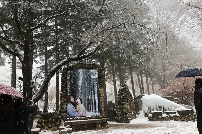 Alpaca, Nami, Eobi with Rail Bike or Strawberry - A smooth Seoul winter circuit, built for photos and warm moments