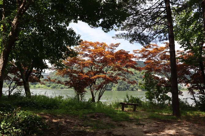 Alpaca, Nami, Petite Fr, Italian Village, Garden of Morning Calm - Key highlights worth your attention