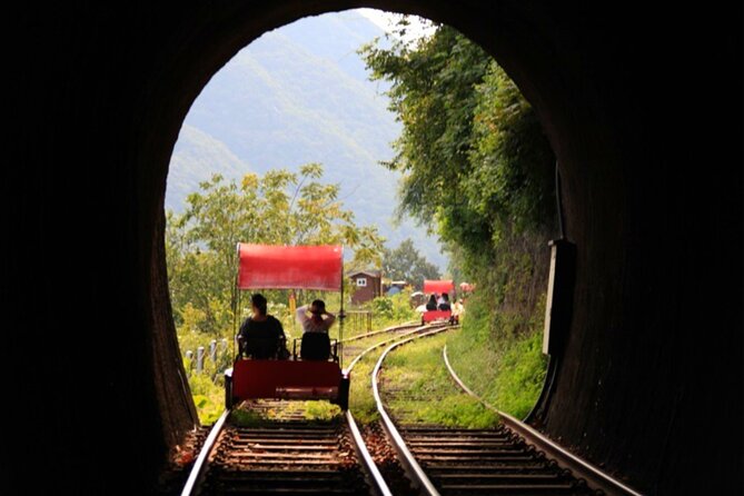 Alpaca World and Nami Island with Gangchon Rail Bike Tour - Who This Tour Suits Best (And Who Might Want Something Else)