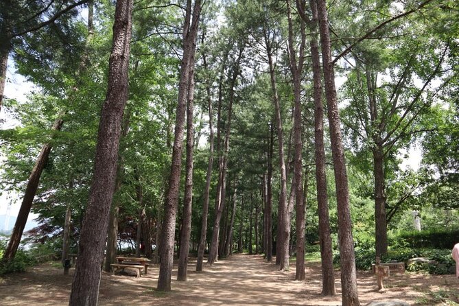 Alpaca World and Nami Island with Gangchon Rail Bike Tour - Should You Book This Rail Bike, Alpaca, and Nami Day Trip?