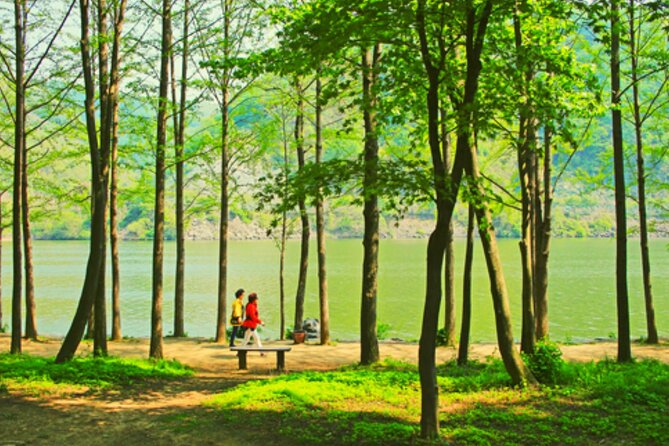 Alpaca World and Nami Island with Gangchon Rail Bike Tour - Gangchon Rail Park Rail Bike: Old Tracks, River Views, Wind in Your Face