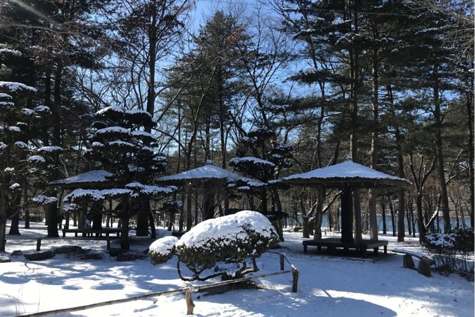 Alpaca World & Nami Island & Garden of Morning Calm One Day Tour - Guides, Group Size, and What Makes the Day Feel Smooth