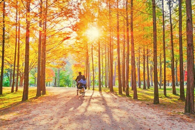 Alpaca World & Nami Island & Garden of Morning Calm One Day Tour - Practical Tips for Packing, Photos, and Lunch Breaks