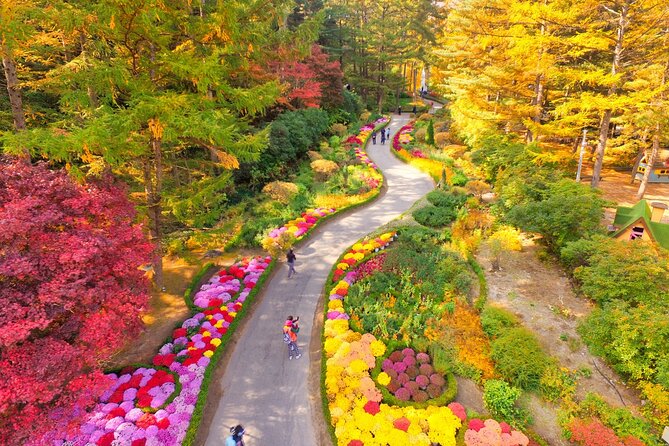 Alpaca World Tour with Nami Island (optional Railbike or Garden) - Gangchon Rail Park Rail Bike: Old Track, River Views, Real Pacing