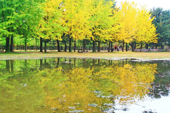Alpaca World Tour with Nami Island (optional Railbike or Garden) - Garden of Morning Calm: A Private Garden That Works for Day and Night