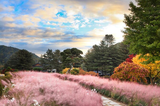 Alpaca World Tour with Nami Island (optional Railbike or Garden) - Choosing the Right Combo: A+N vs Adding Rail Bike and Garden Lights
