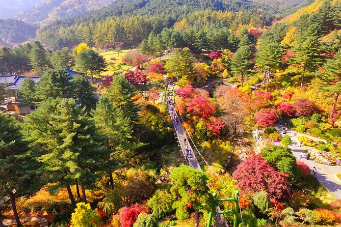 Alpaca World Tour with Nami Island (optional Railbike or Garden) - Price and Value: Is $66.67 a Good Deal?