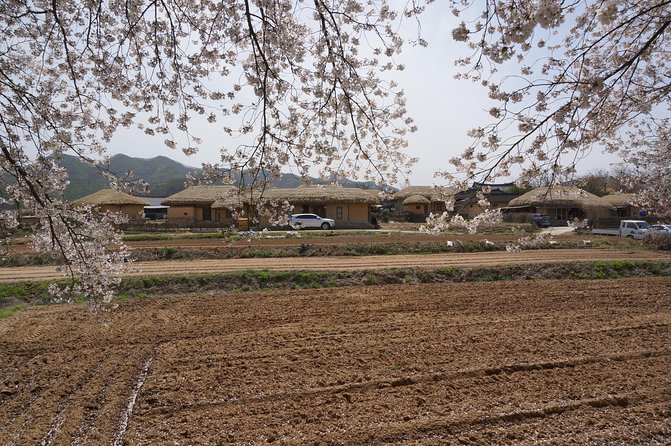 Andong Hahoe Folk Village [UNESCO World Heritage] Private Tour from Seoul - Hahoe Mask Museum: what you should look for when time is short