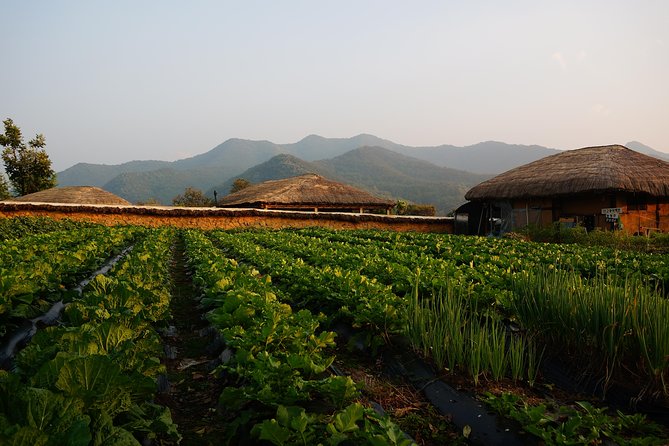 Andong Hahoe Village [UNESCO site] Premium Private Tour from Seoul - Guides and English commentary: why this tour feels more personal