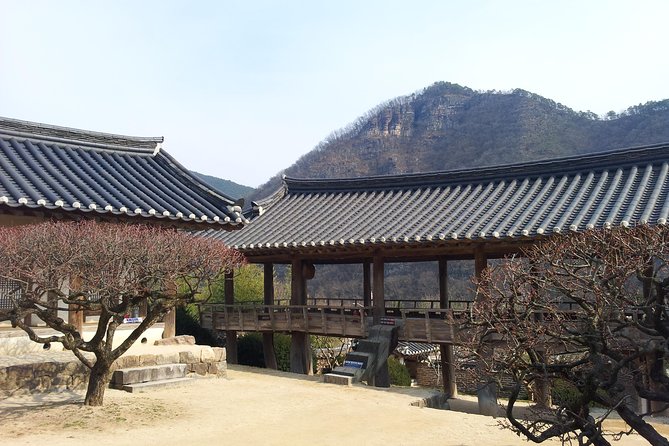 Andong Hahoe Village [UNESCO site] Premium Private Tour from Seoul - Buyongdae in the middle of the day: the 64-meter cliff view payoff