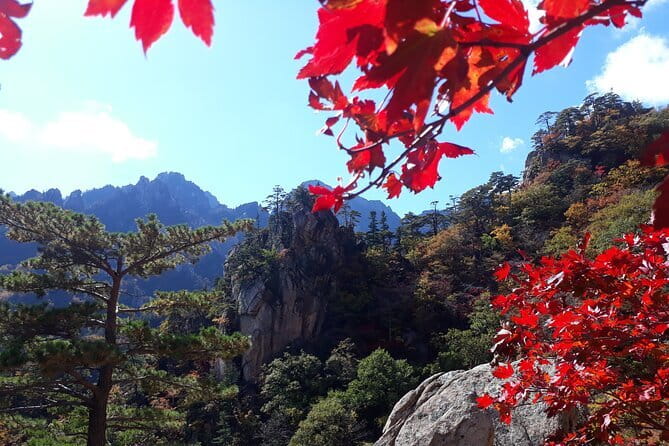 Autumn Foliage-Mt. Seorak, Sokcho Fish Market, Sokcho Beach - From Seoul to Seoraksan and Sokcho in one full day