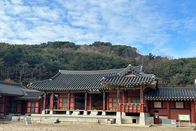 Beyond Seoul: Starfield Library, Hwaseong Fortress & Cave Quest - Who this Suwon day trip is best for
