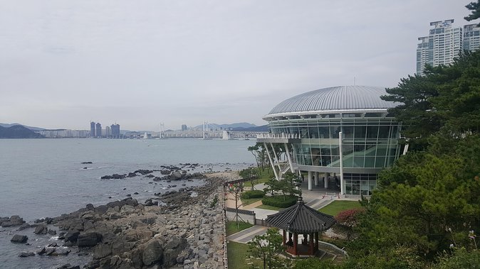 Busan city tour from Seoul by KTX bullet train - Private guide, not a group shuffle: pacing that works