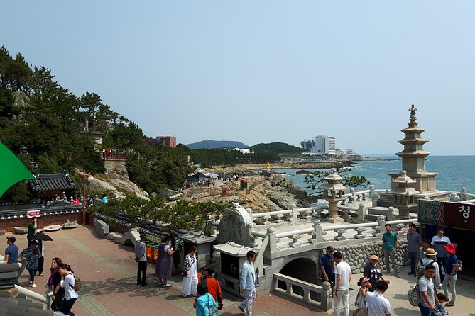 Busan city tour from Seoul by KTX bullet train - Jagalchi Market: Busan’s seafood heartbeat