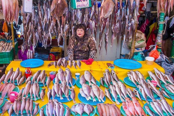 Busan Day Trip from Seoul by KTX - Private Tour with Local Guide - Key highlights worth knowing before you go