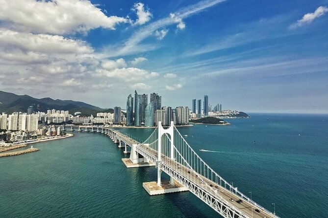 Busan Day Trip from Seoul by KTX - Private Tour with Local Guide - Cherry Blossom Road at Samik Beach Apartment (seasonal payoff)