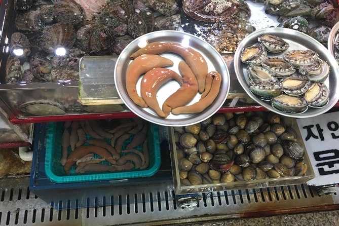 Busan day trip including Gamcheon culture village from Seoul by KTX train - How the 8-hour pace really feels