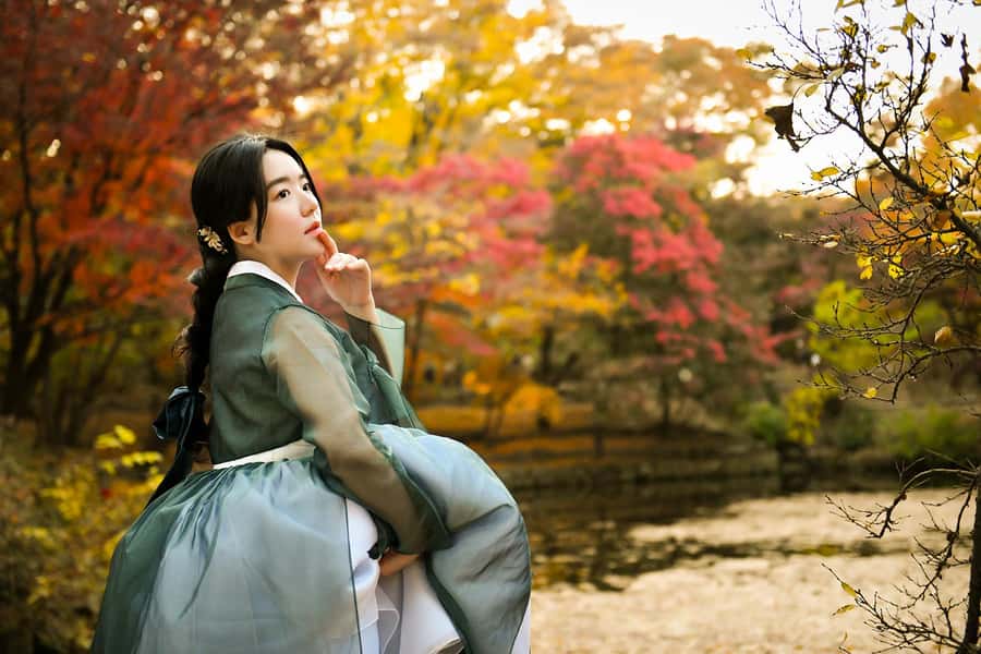 Changdeokgung Hanbok Experience at hanboknam - Choosing your hanbok: Basic, Themed, or Premium