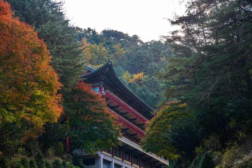 Danyang Tour:Guinsa Temple & Bobaljae & Cheongpung Cable Car - Key things I’d plan around