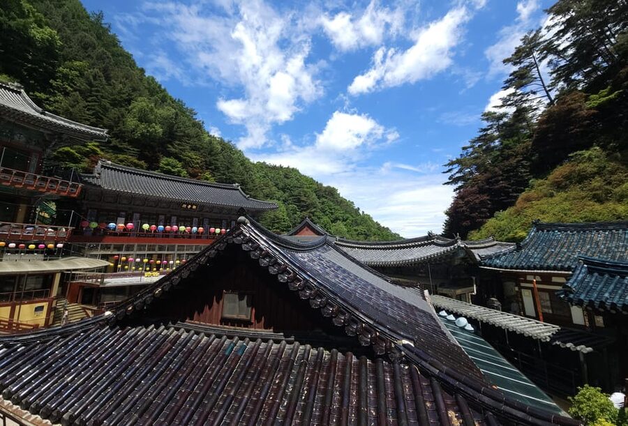 Danyang Tour:Guinsa Temple & Bobaljae & Cheongpung Cable Car - Practical tips so your day goes smoothly