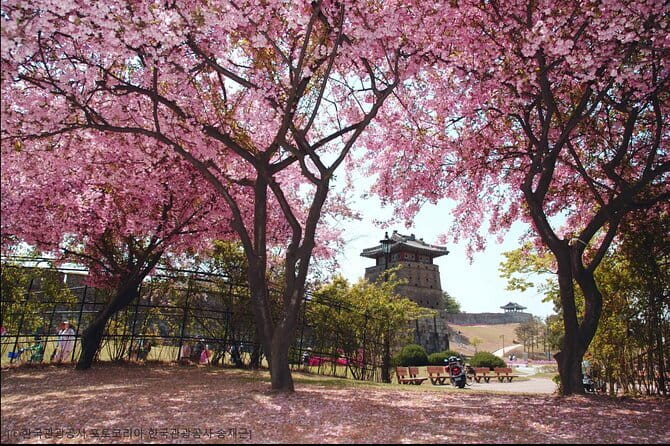Day Tour of Suwon Hwaseong Fortress Starfield Waujeongsa Temple - How timing works, why walking matters, and what to pack