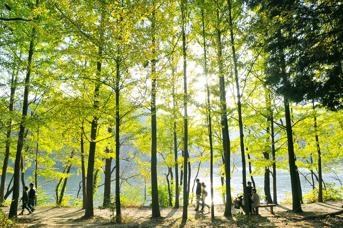 Day Trip to Nami Island with Rail bike and The Garden of Morning Calm - Gangchon Rail Park rail bike: the most memorable active stop