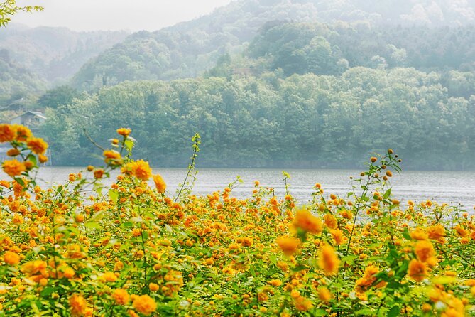 Day Trip to Nami Island with Rail bike and The Garden of Morning Calm - Guides and group size: why people keep praising the human touch