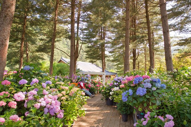 Day Trip to Nami Island with Rail bike and The Garden of Morning Calm - Practical tips to make the day feel smoother