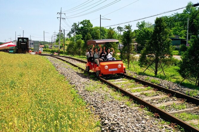Day Trip to Nami Island with Rail bike and The Garden of Morning Calm - Nami Island in 3.5 hours: walk, bike, or take it slow