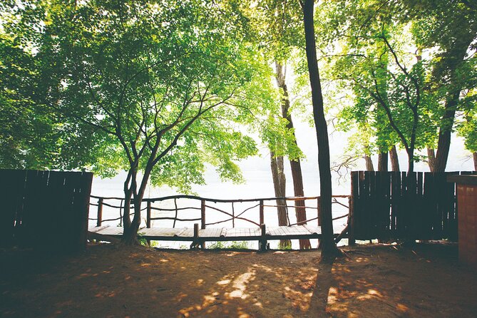 Day Trip to Nami Island with The Garden of Morning Calm - Guides, group size, and how the day feels in motion