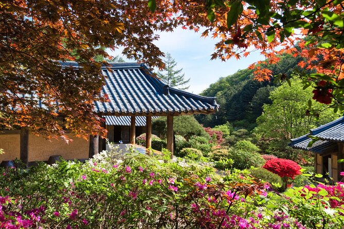 Day Trip to Nami Island with The Garden of Morning Calm - Seoul pickup and comfortable transport, minus the stress