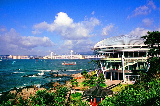 Discover Eastern Korea in 4days: All-Inclusive Experience - Food focus and why the no-shopping rule matters