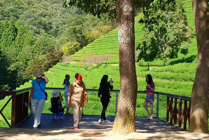 Discover Western Korea in 4days: All-Inclusive Experience - Day 1 in Gongju: UNESCO fortress, royal tombs, and a museum worth your time