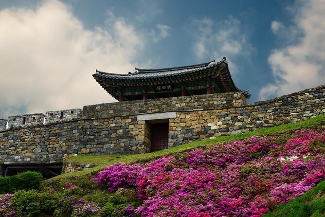Discover Western Korea in 4days: All-Inclusive Experience - Day 3 in Boseong and Suncheon Bay: terraced tea and a top-tier wetland reserve