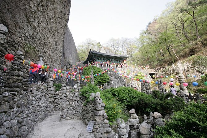 Discover Western Korea in 4days: All-Inclusive Experience - Day 4 in Busan: UN Memorial Cemetery, then the KTX back to Seoul