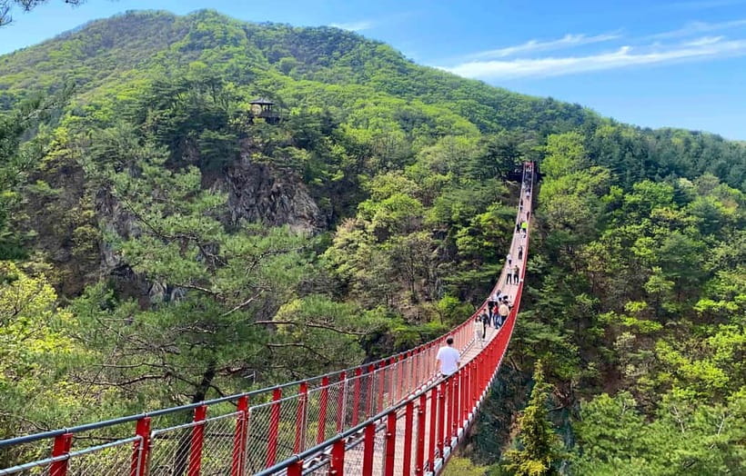 DMZ; NK Defector, 3rd Tunnel, Suspension Bridge,Hotel pickup - Key things to know before you go