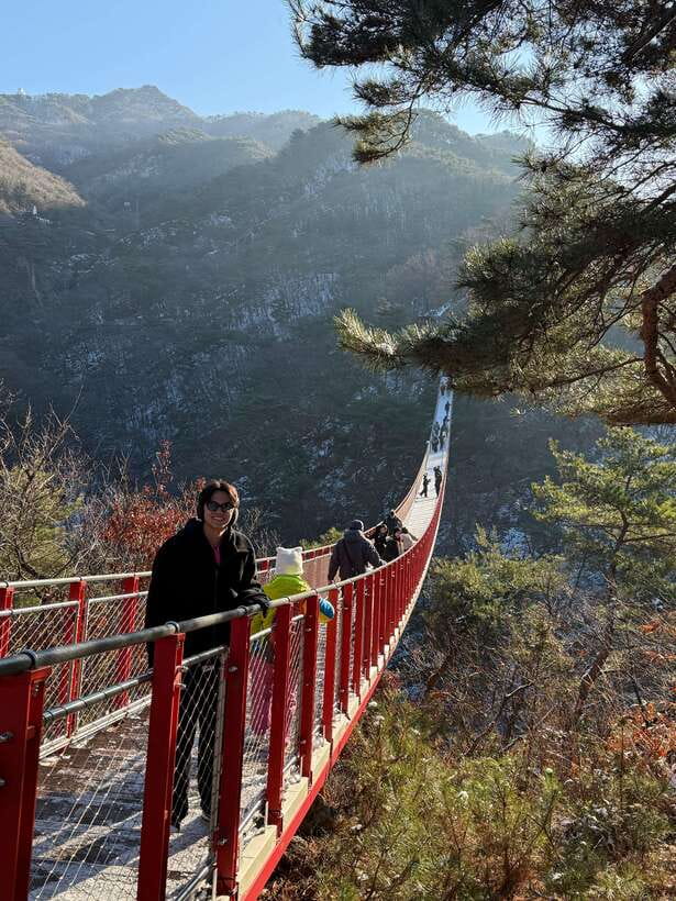 DMZ; NK Defector, 3rd Tunnel, Suspension Bridge,Hotel pickup - Dora Observatory: seeing North Korea from a guided viewing zone
