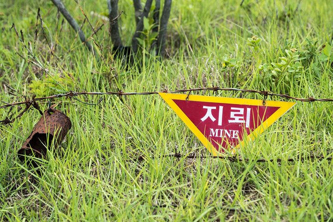 DMZ One Day Tour in Gyeonggi-do with English or Spanish - The value question: price, what is included, and what you still pay