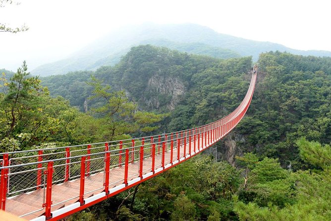 DMZ Tour: 3rd Tunnel, Option(Suspension Bridge, Boat) from Seoul - Choosing your add-on: Gamaksan bridge walk, Lake Majang bridge, or Imjin River boat ride