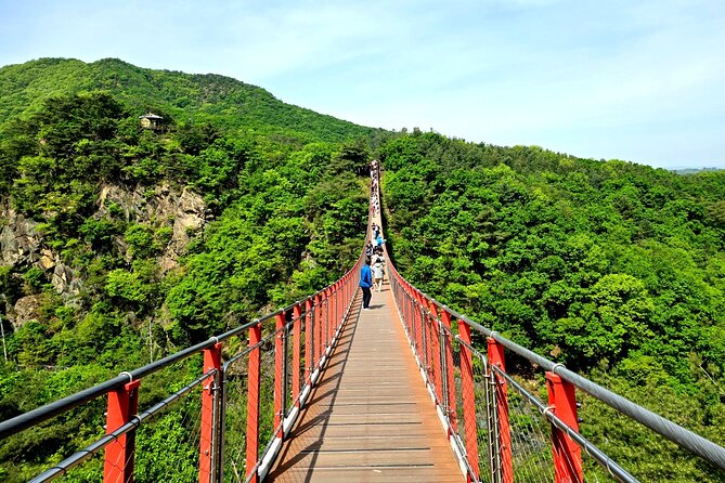 DMZ Tour from Seoul – Optional Suspension Bridge Experience - Price and time: what $27.50 buys you