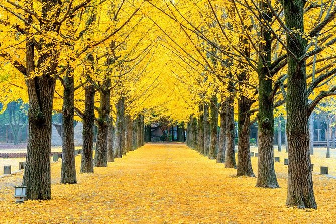 Easy private tour to Nami Island, Garden of Morning Calm - Why this Nami Island and Garden of Morning Calm day trip feels easy