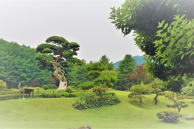 Easy private tour to Nami Island, Garden of Morning Calm - Price and value: why $130 can be fair for a private Seoul escape